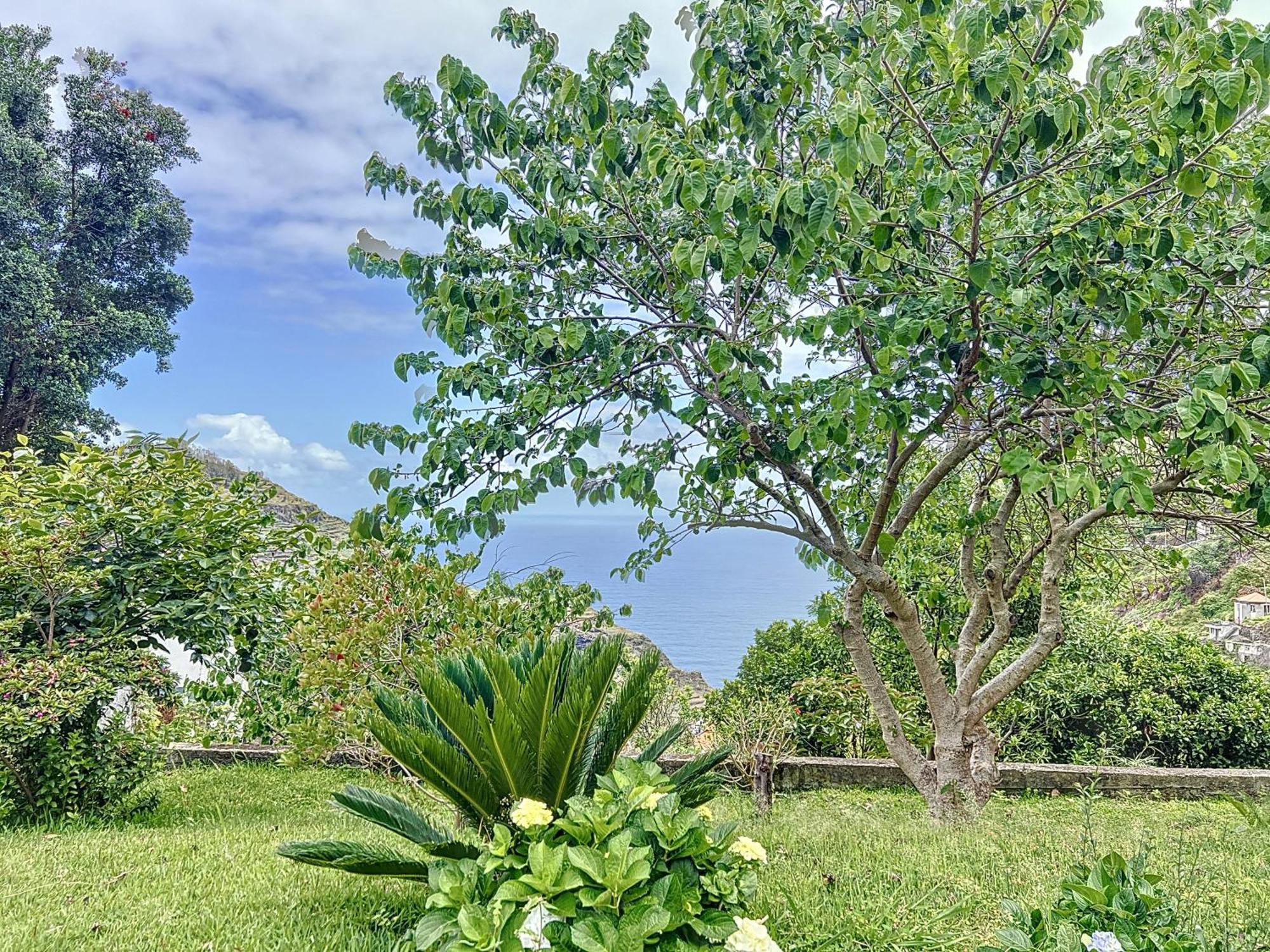 Quinta Do Serrado II Ribeira da Janela Zewnętrze zdjęcie
